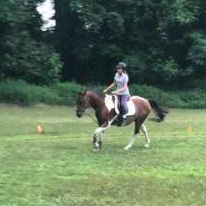 Meet your Posher, Susan